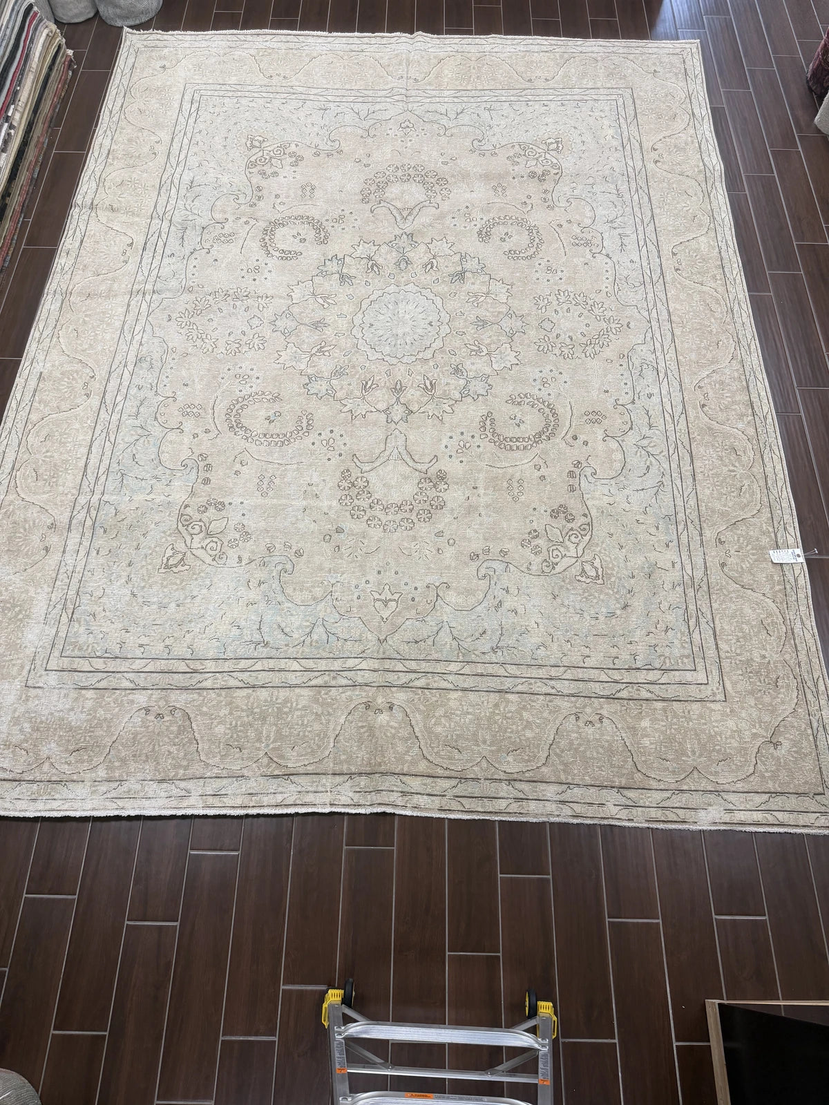 Vintage Beige & Soft Blue Medallion Rug